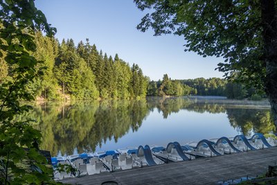 Trübungen im Wasser des Ebnisees – Untersuchungen laufen