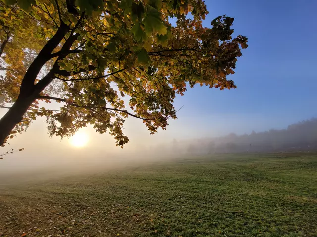 Sonnenaufgang mit Nebel